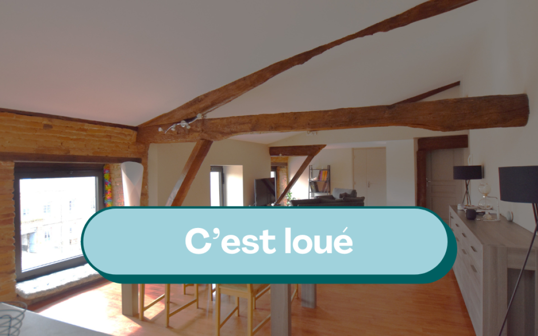 À Louer : Appartement de Charme en Centre-Ville de Montauban